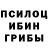 Галлюциногенные грибы мухоморы Gueu Rodrigues