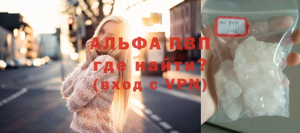 прущие грибы Беломорск