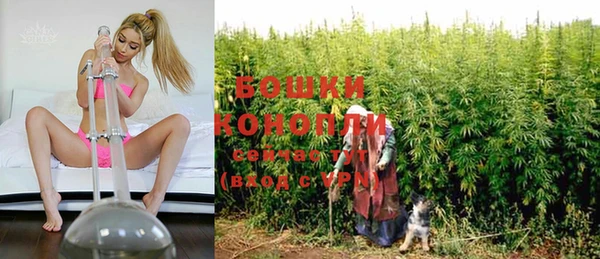 прущие грибы Беломорск
