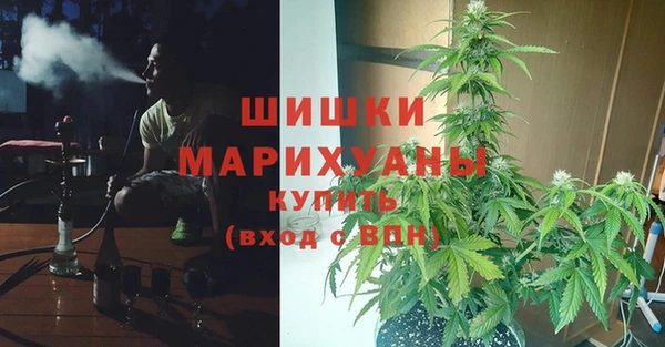 прущие грибы Беломорск