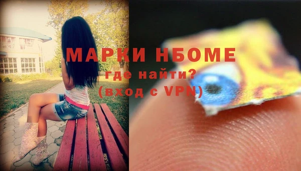 прущие грибы Беломорск