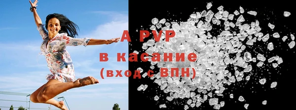 прущие грибы Беломорск