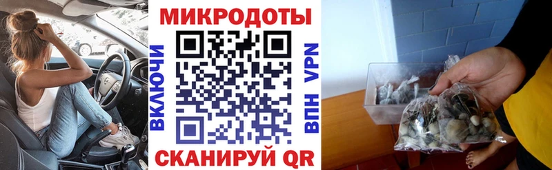 Псилоцибиновые грибы мухоморы  где продают наркотики  KRAKEN ТОР  Обь 